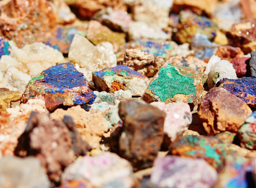Fossils